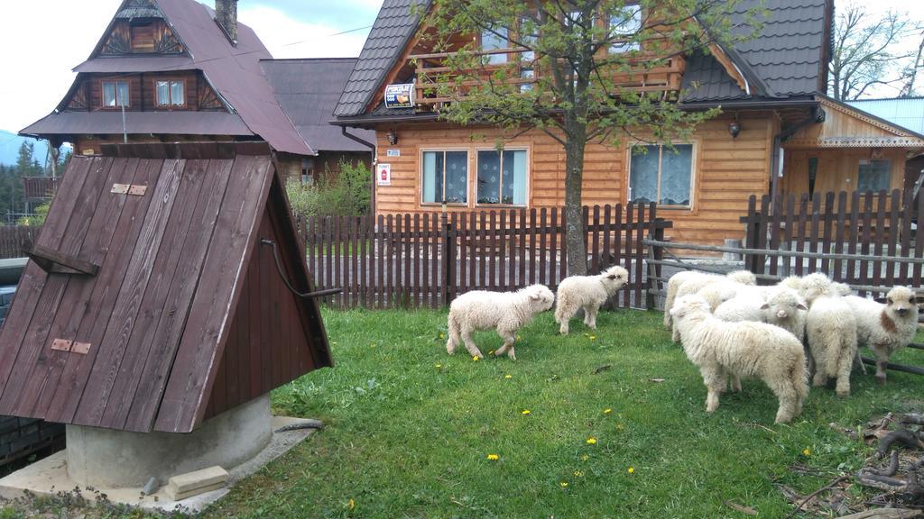 Ferienwohnung Pokoje U Sarnowskich Kościelisko Exterior foto